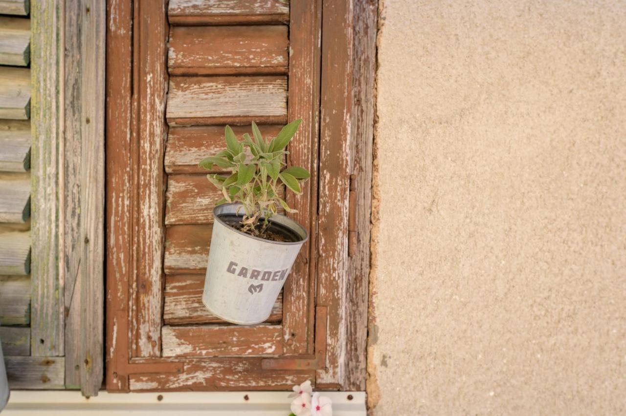 Boutique B&B Mali Pariz Grizane-Belgrad Luaran gambar